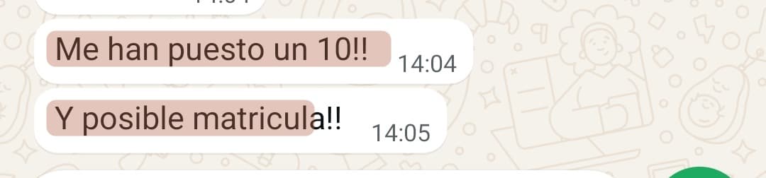 «Me han puesto un 10 y posible matrícula»